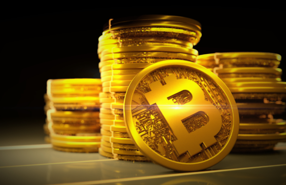 Bitcoin Thrives Against All Odds and Continues on the Rise
