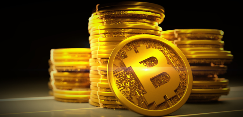 Bitcoin Thrives Against All Odds and Continues on the Rise